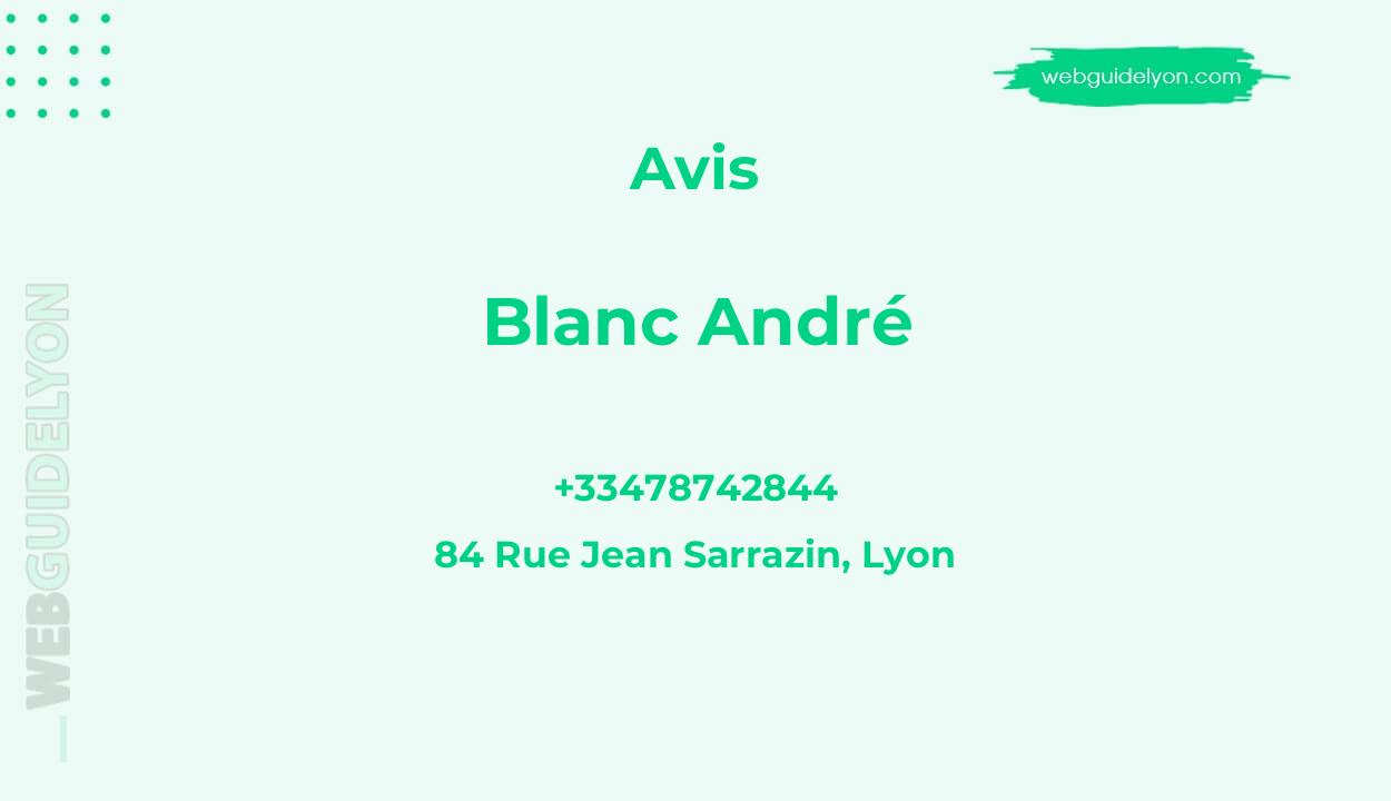 Avis sur Blanc André, 84 Rue Jean Sarrazin, Lyon