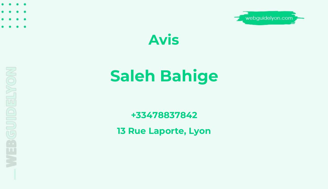 Avis sur Saleh Bahige, 13 Rue Laporte, Lyon